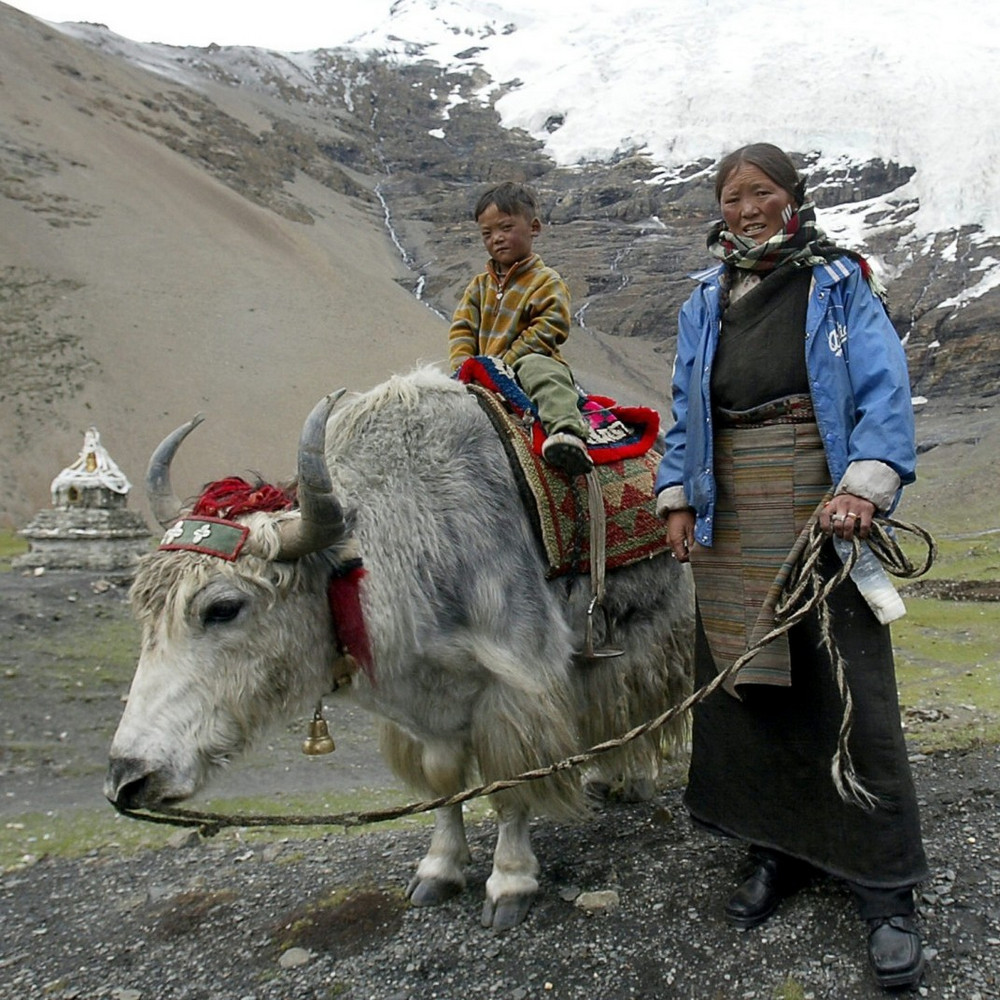 От кого тибетцы унаследовали гены, облегчающие жизнь в высокогорьях?