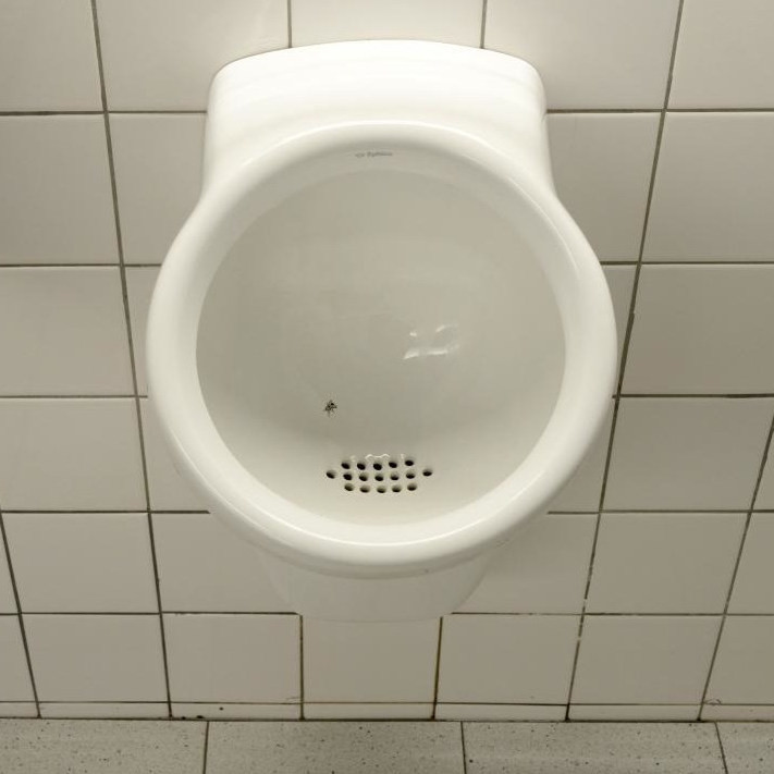Зачем в писсуары мужских туалетов помещают наклейки мух?