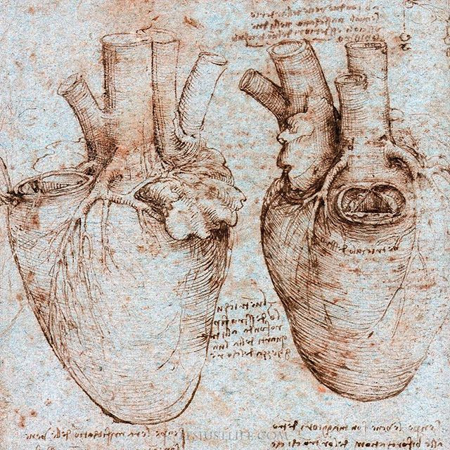 Какой хирургический метод был улучшен в 21 веке под влиянием работ Леонардо?