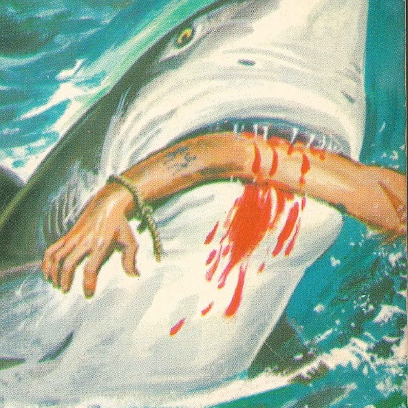Каким образом удалось спасти атакованного акулой мальчика и откушенную ею руку?