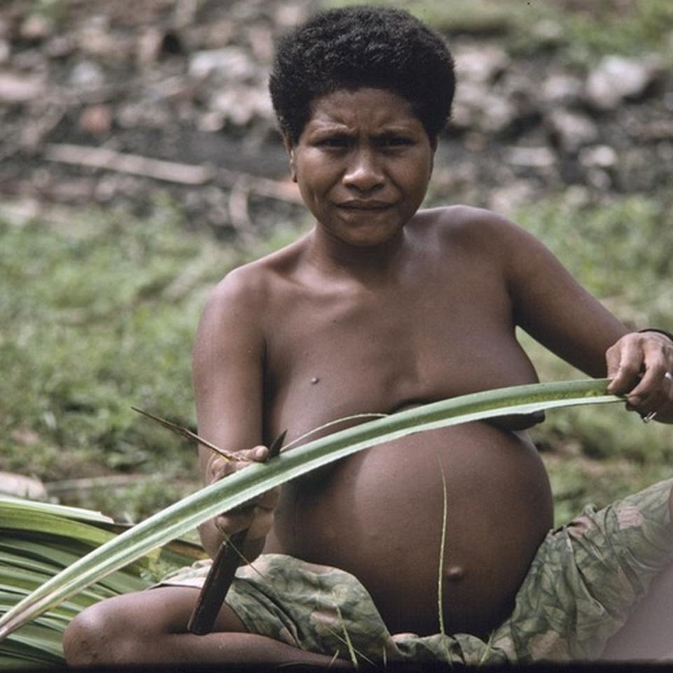 Бордели в провинции Ириан Джайа ( Папуа Новая Гвинея) • Форум Винского
