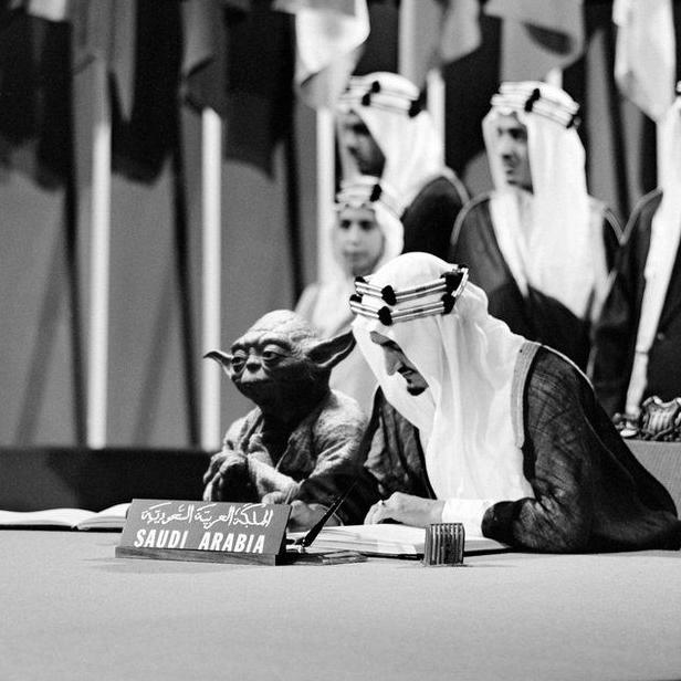 В какой стране в школьных учебниках напечатали фотографию магистра Йоды на первой конференции ООН?