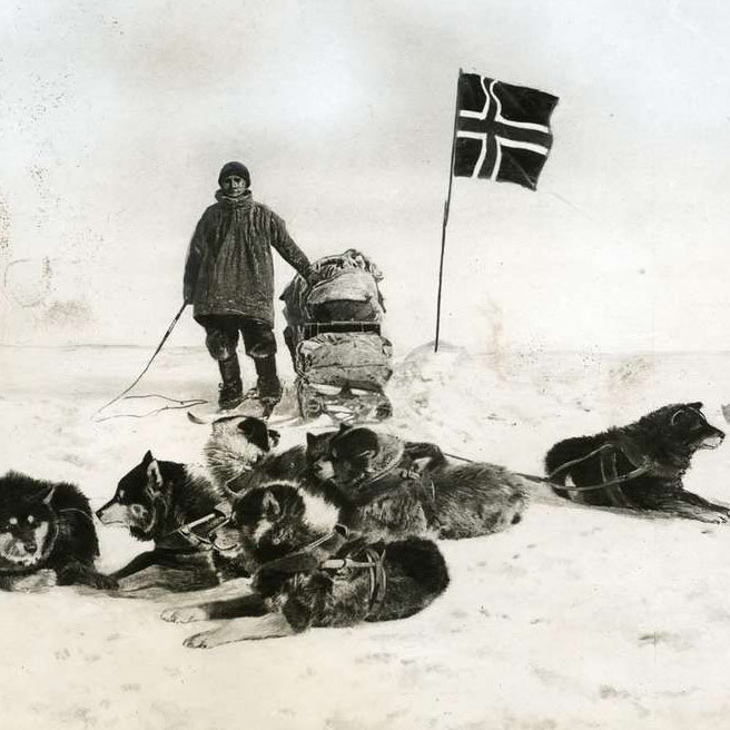 Какую роль сыграли собаки в покорении Южного полюса?