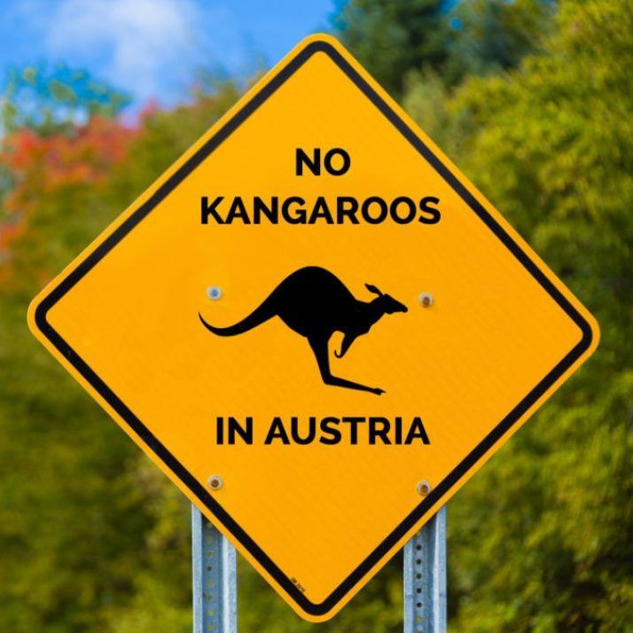 В какой стране популярны сувениры со слоганом «Здесь кенгуру нет»?
