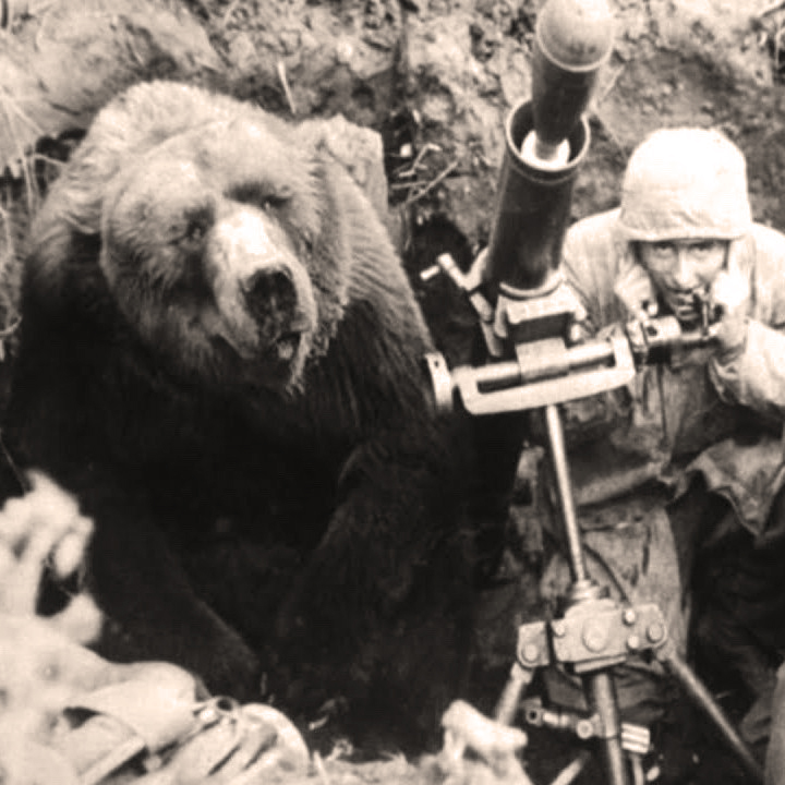 Кому и когда медведь помогал разгружать ящики с боеприпасами?