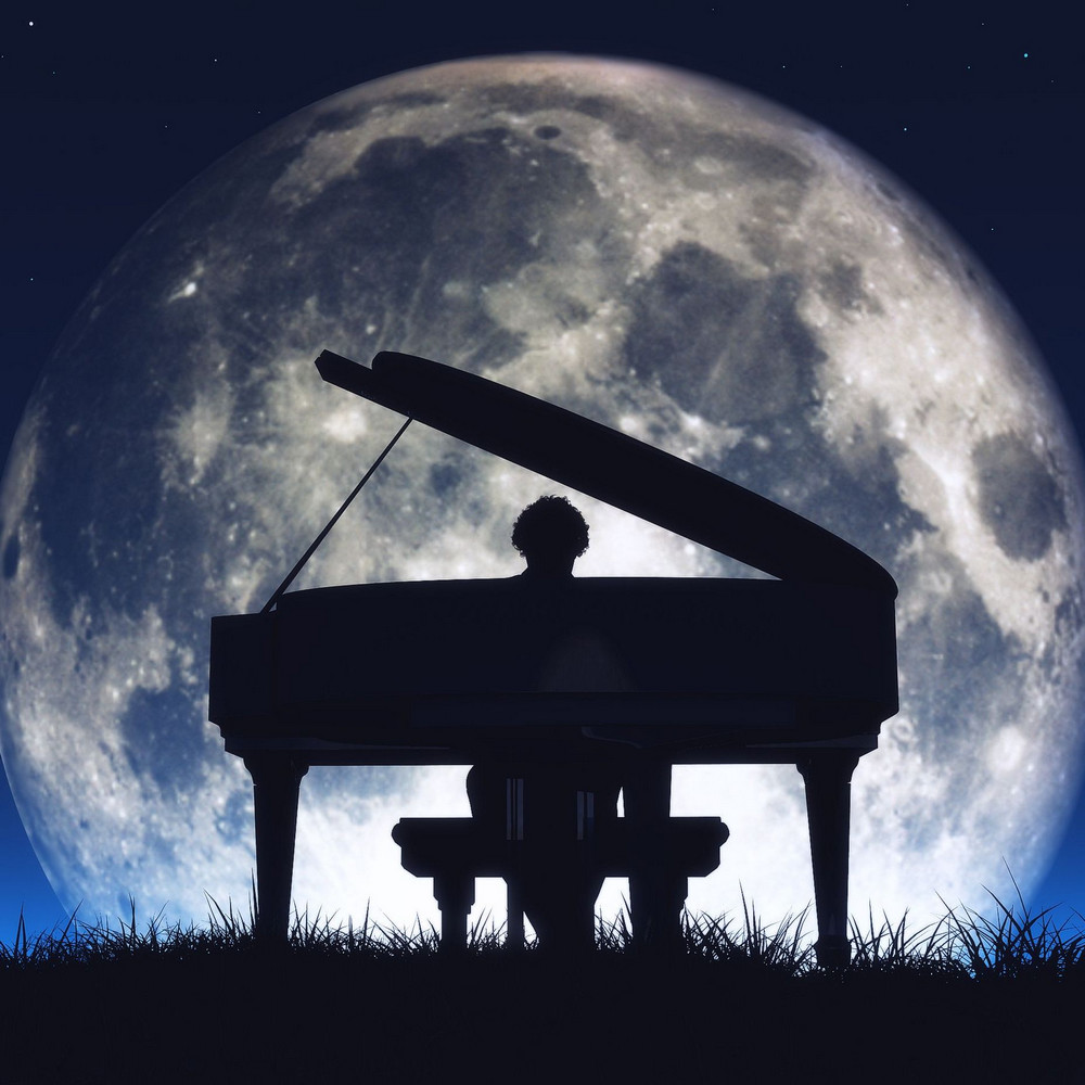 Как назвал Лунную сонату сам Бетховен?