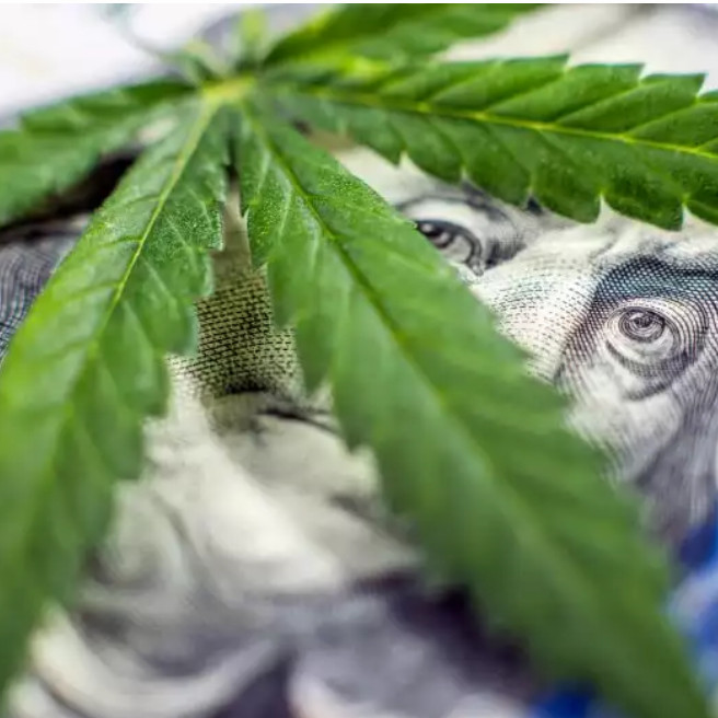 Зачем в США действует налог на марихуану, хотя сама её продажа незаконна?