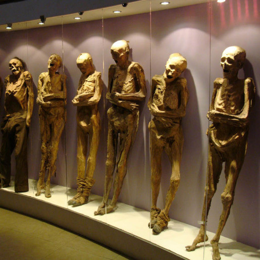 Где и когда тела погибших эксгумировали и отправляли в музей мумий, если родственники не платили налог?