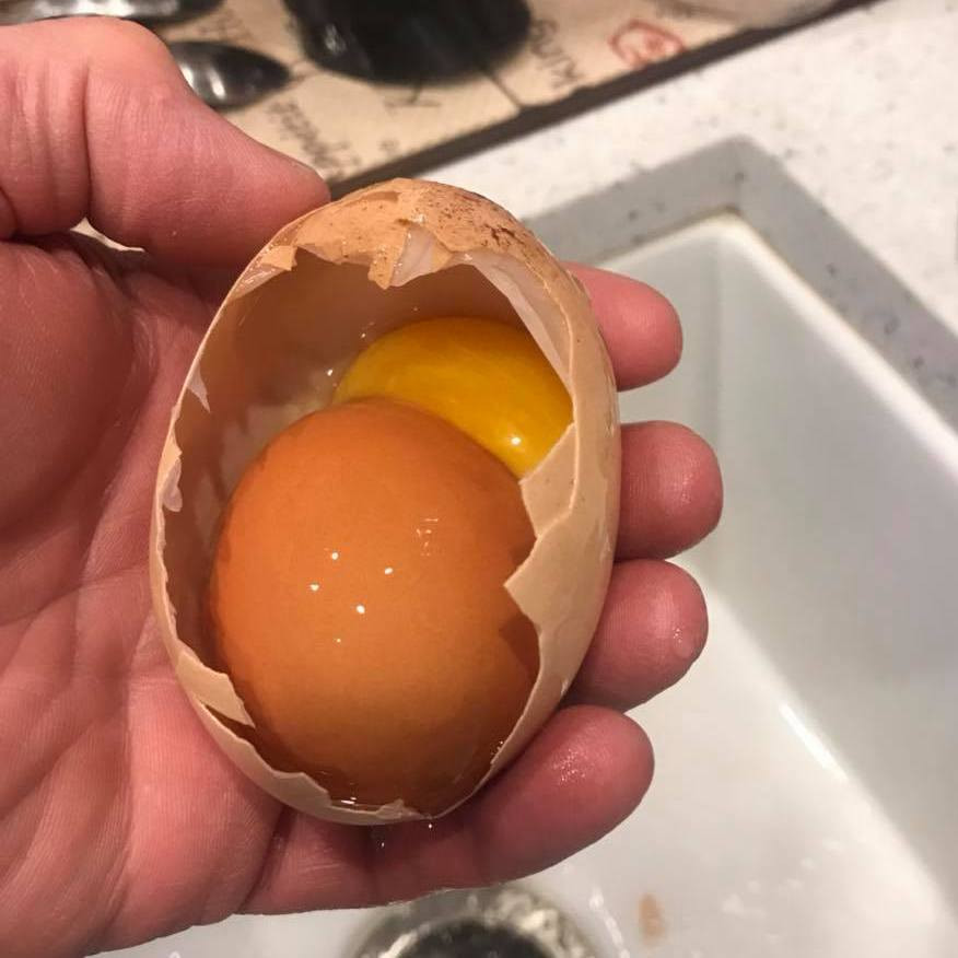Чем объясняется феномен, когда внутри птичьего яйца обнаруживается ещё одно вложенное яйцо?