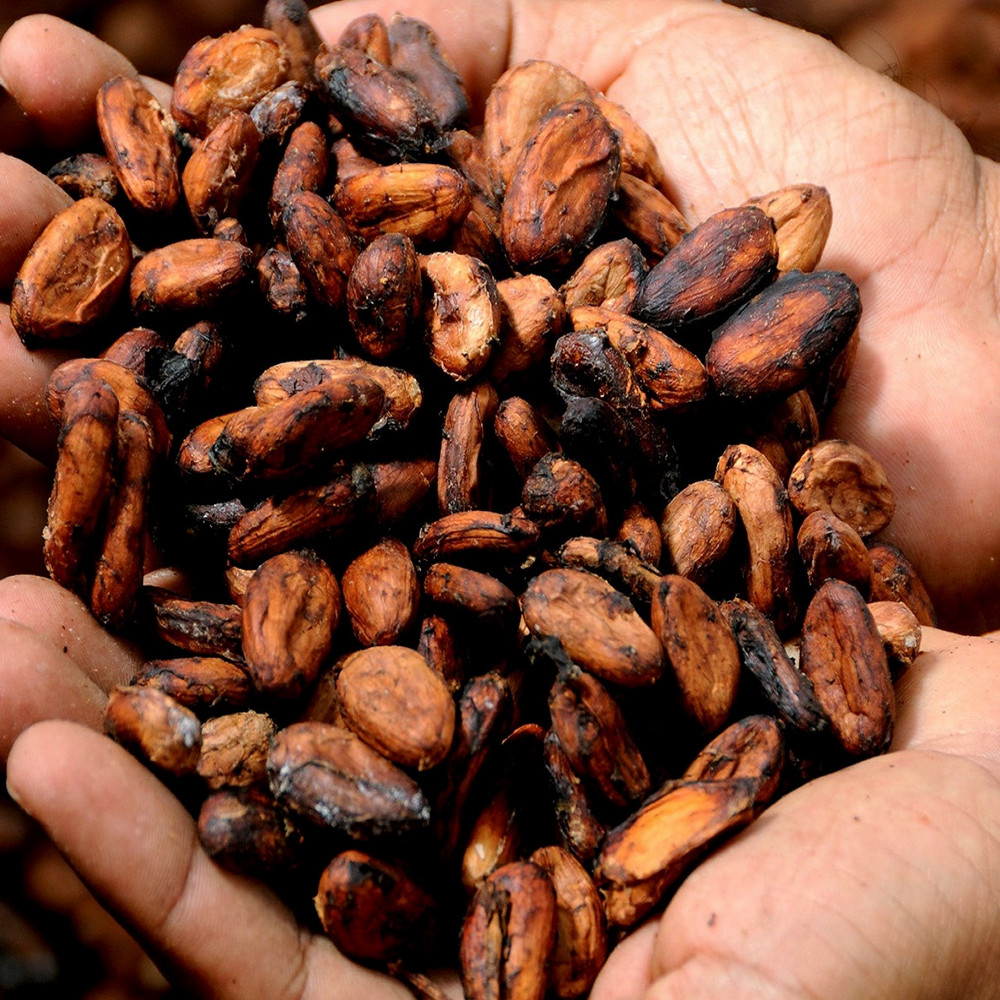 Какой народ расплачивался бобами какао?