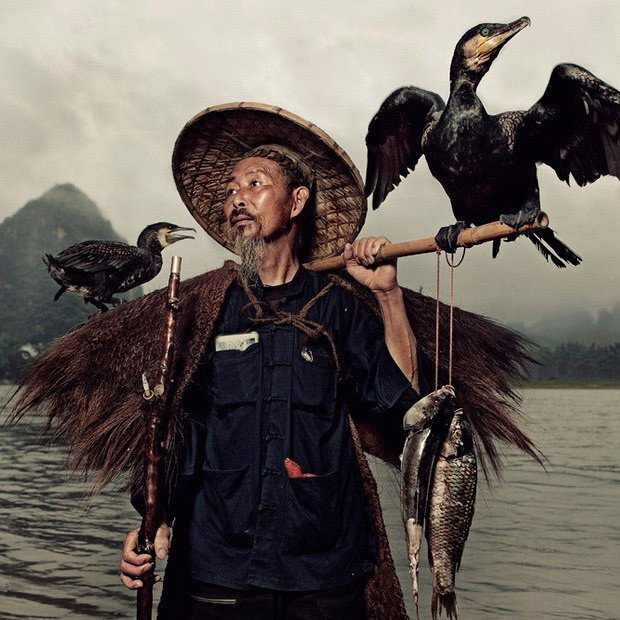 Какие птицы помогали японцам и китайцам на рыбалке?