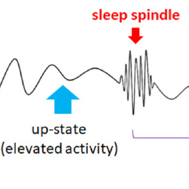 Почему у людей разная чувствительность к посторонним шумам во время сна?