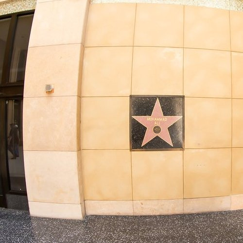 У какой знаменитости звезда на «Аллее славы» расположена не на тротуаре, а на стене?