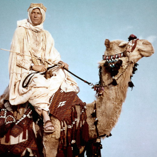 Какое новшество подарил бедуинам исполнитель главной роли фильма «Лоуренс Аравийский»?