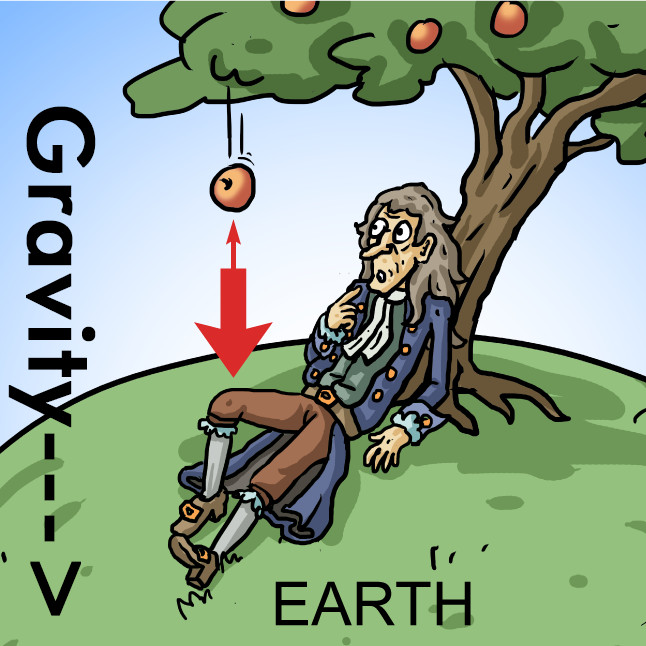 Связано ли открытие Ньютоном теории гравитации с падением яблока?