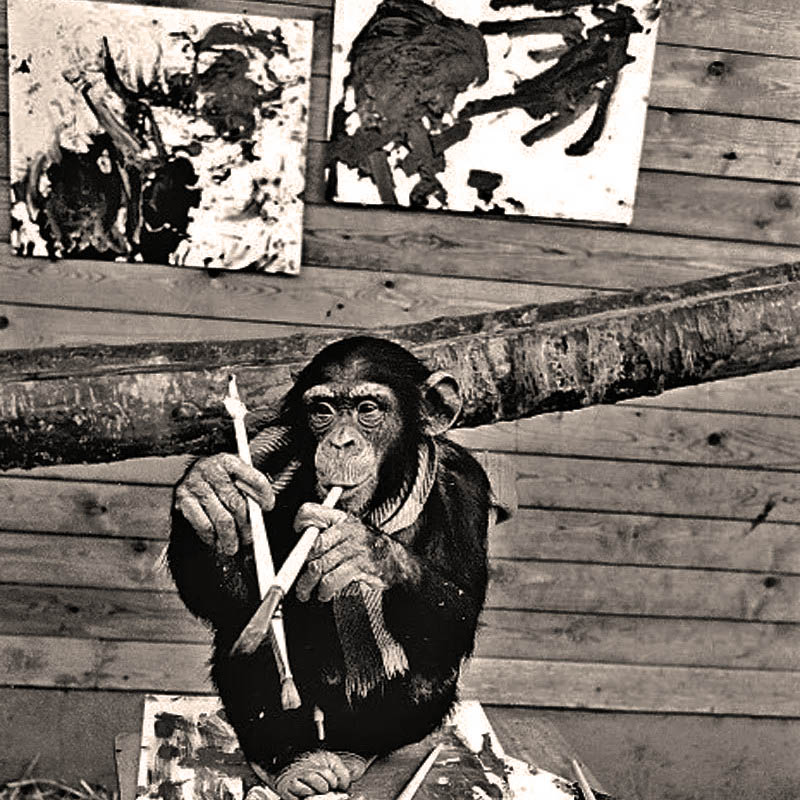 Где и когда критиков впечатлили картины авангардиста, которые нарисовал шимпанзе?