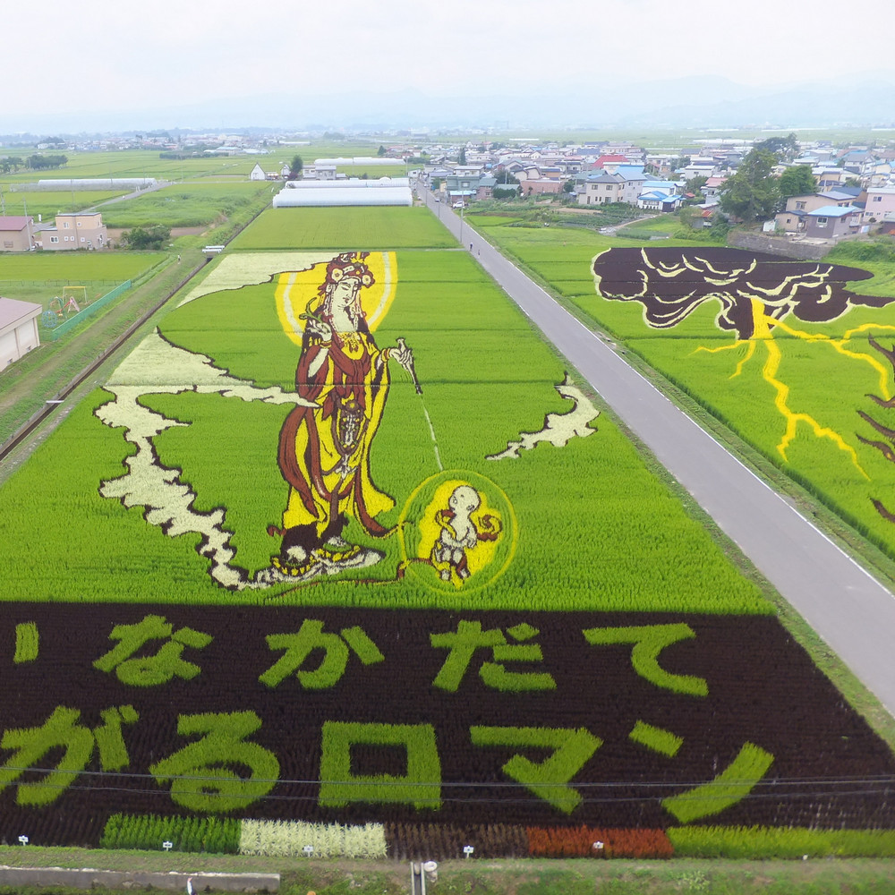 Где можно увидеть гигантские картины из риса, меняющиеся каждый год?