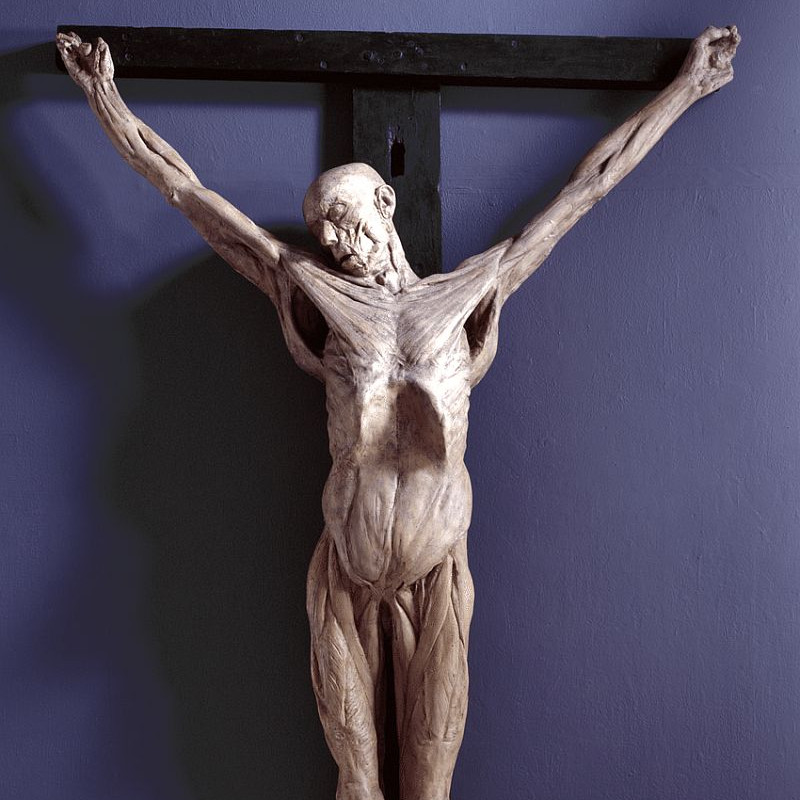 Как нужно анатомически правильно изображать распятие Христа?