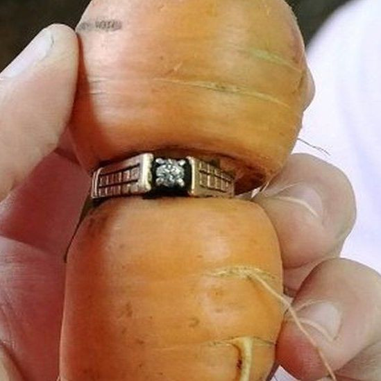 Каким образом морковь помогла найти утерянное много лет назад кольцо?
