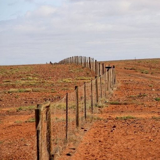 Где и для чего построен забор длиной более 5000 километров?