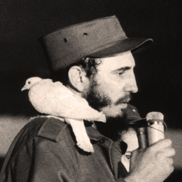 Что символизировал для многих кубинцев голубь на плече Фиделя Кастро?
