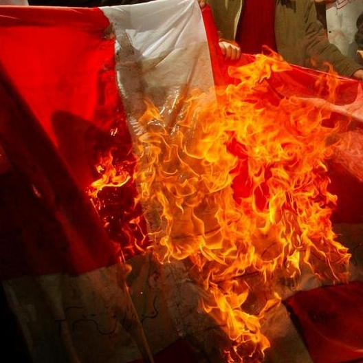 В какой стране запрещено сжигать любой флаг, кроме собственного?