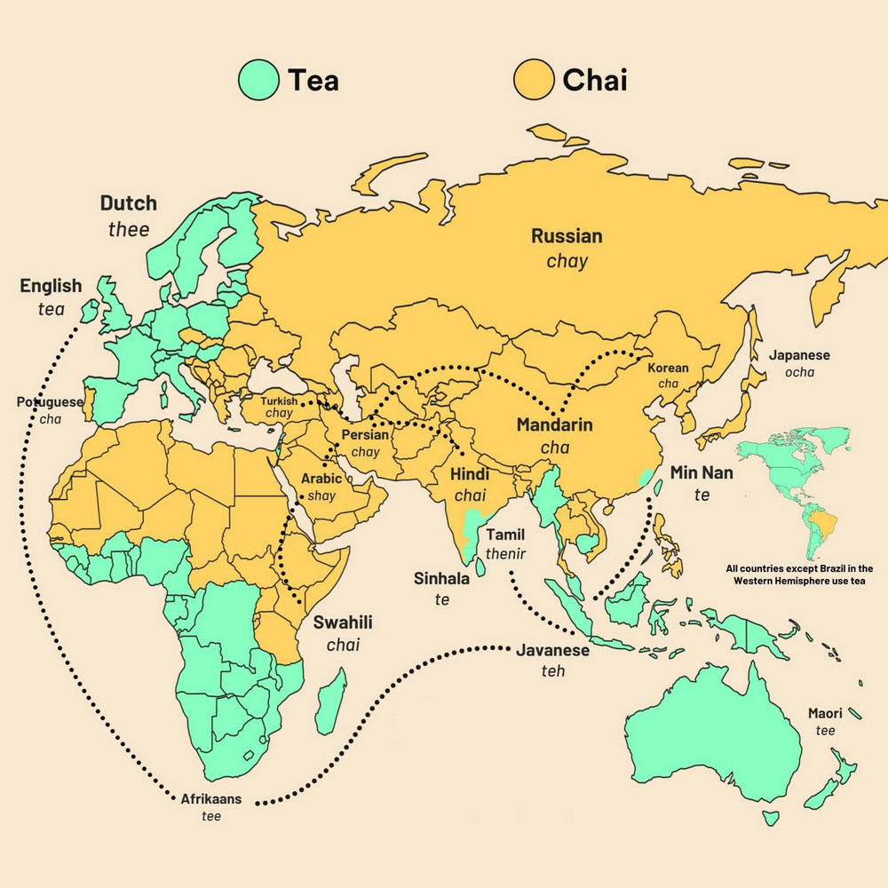Чем обусловлено различие слов «чай» и «tea»?