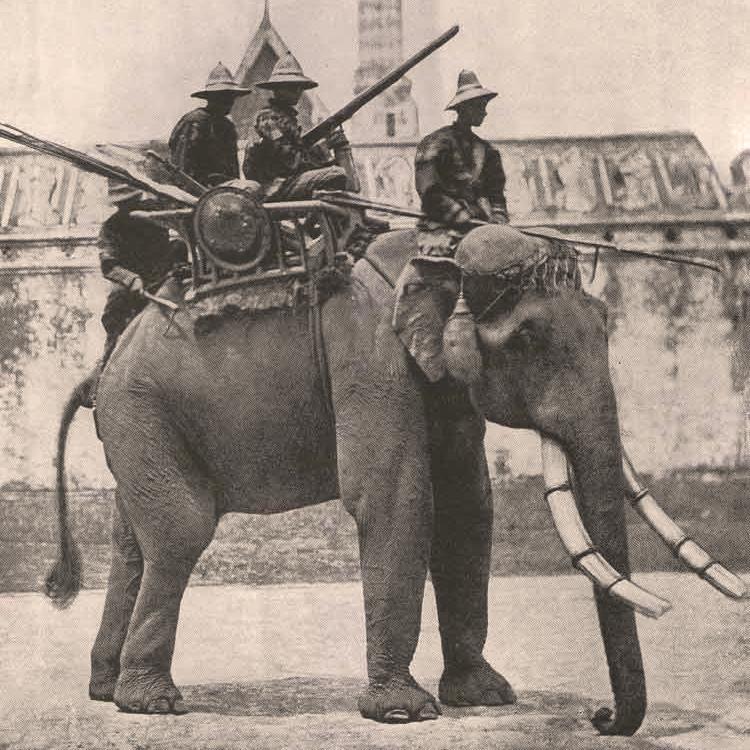 Где применялась артиллерия, установленная на спины слонам и верблюдам?