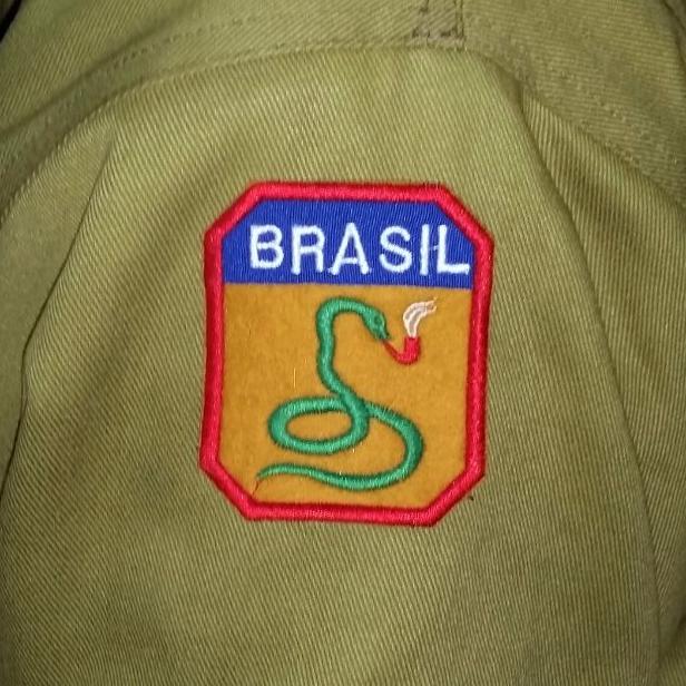 Почему во время Второй Мировой войны бразильские солдаты носили шевроны с курящей змеёй?