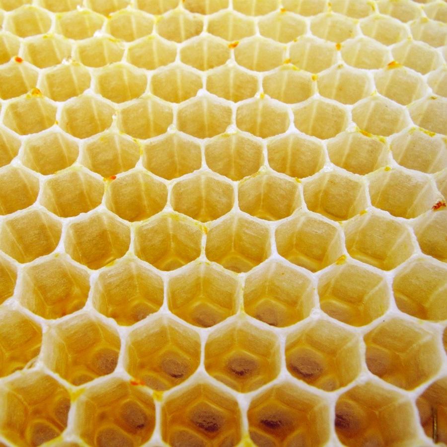Почему пчелиные соты состоят из шестигранников?