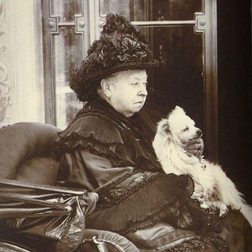 Собаки какой породы уменьшились вдвое из-за моды, введённой королевой Викторией?