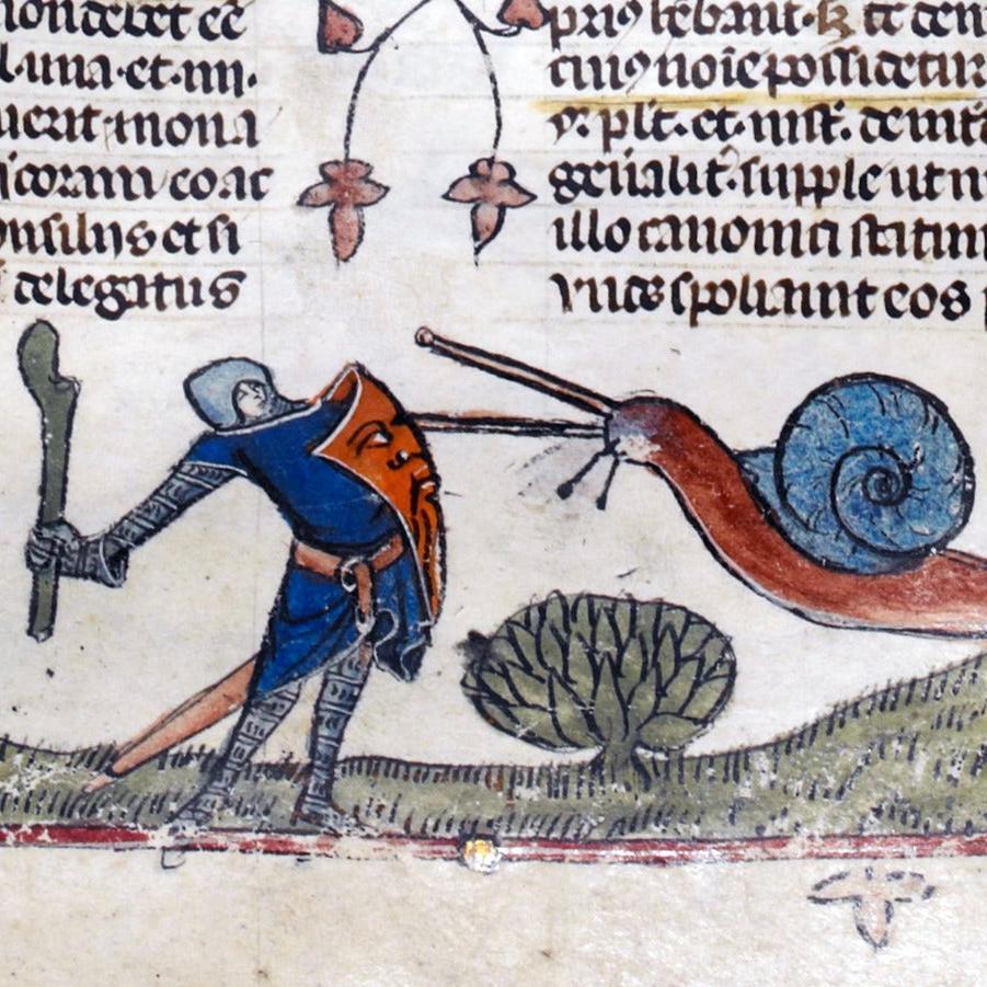 С какими моллюсками часто сражаются рыцари на полях средневековых книг?