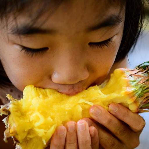 Почему после поедания ананаса болит язык?