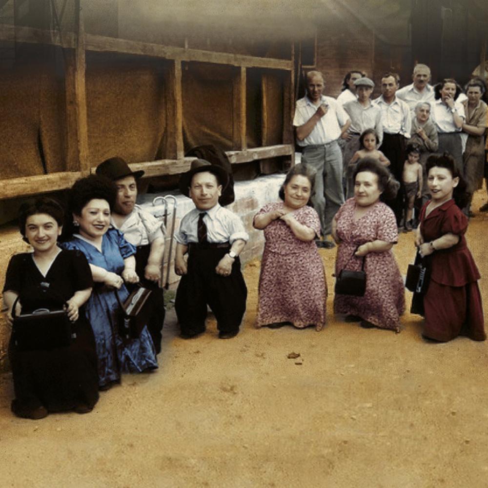 Какую особенность имела самая большая выжившая в Освенциме семья?