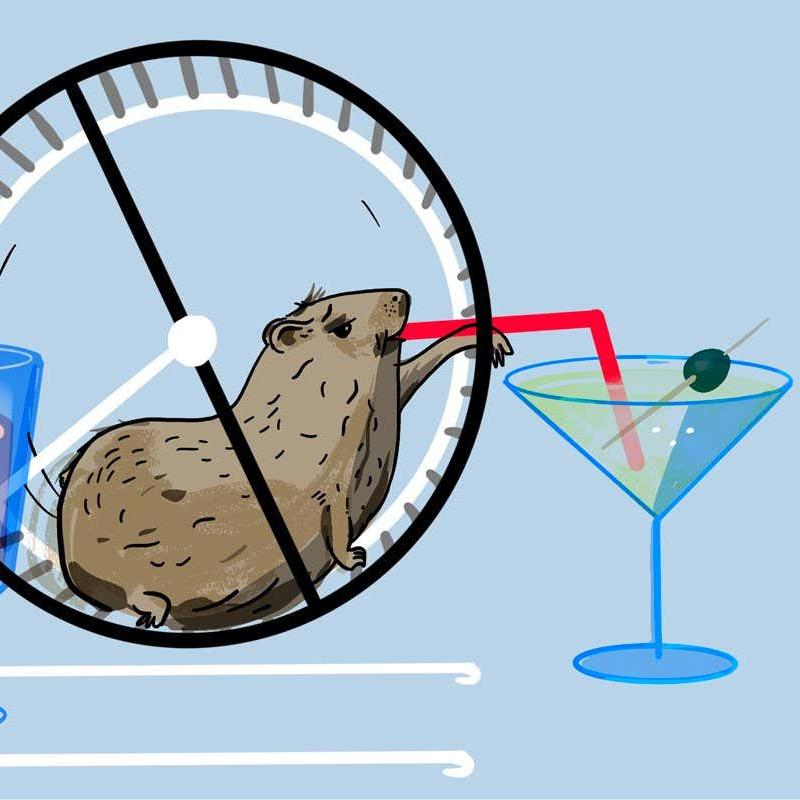 Какие животные наиболее приспособлены к употреблению алкоголя?