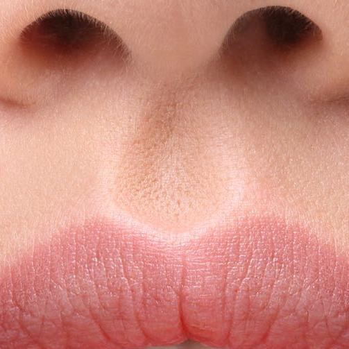 Как называется складка кожи между носом и верхней губой?