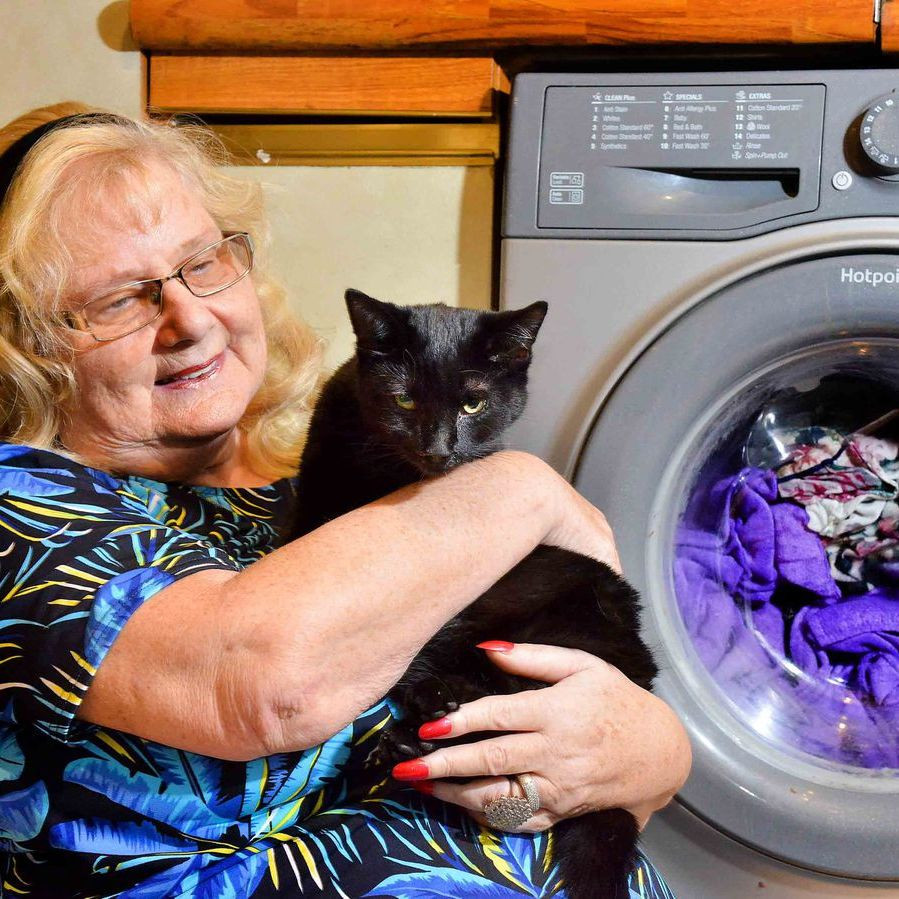 Сколько времени выдержал в работающей стиральной машине котёнок Кимба из Австралии?