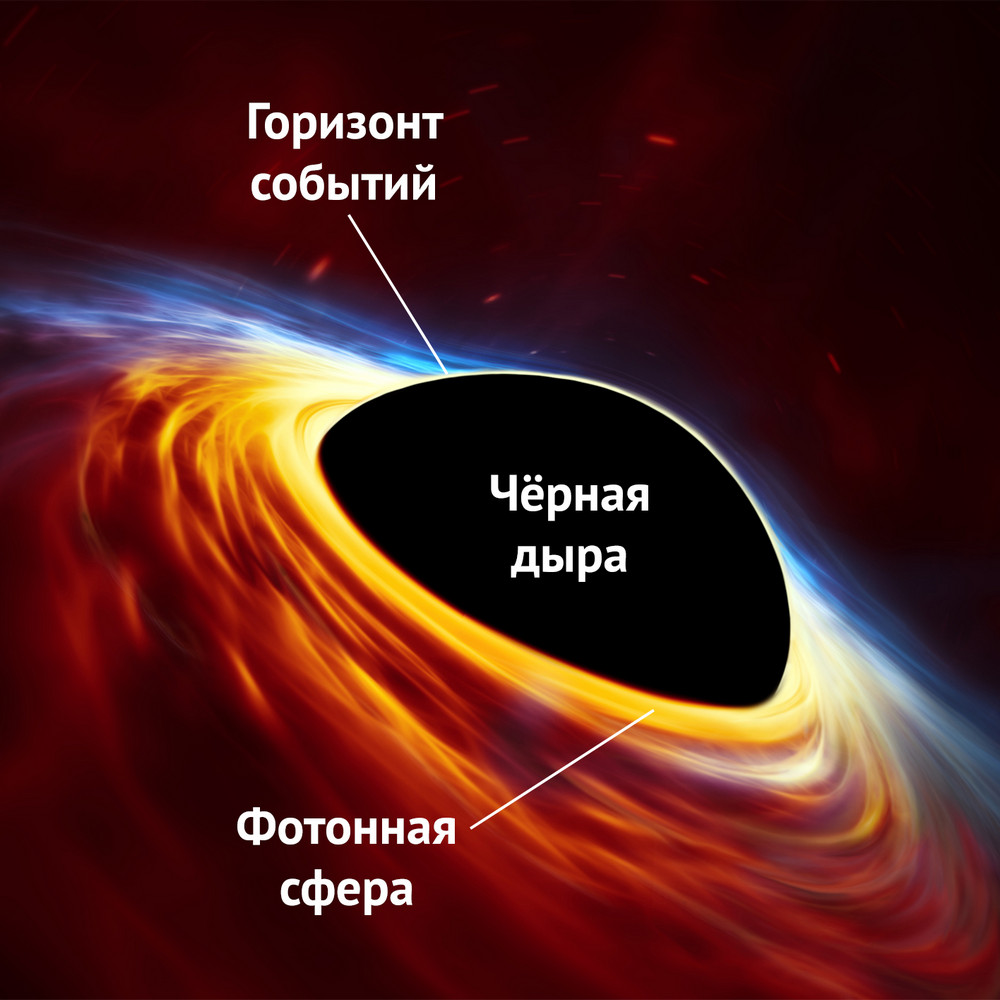 В какой области пространства человек может увидеть свою спину без помощи приборов?