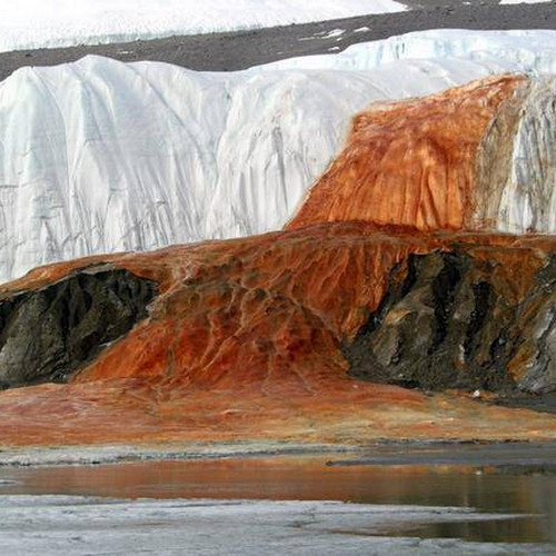 Что придаёт характерный цвет Кровавому водопаду в Антарктиде?