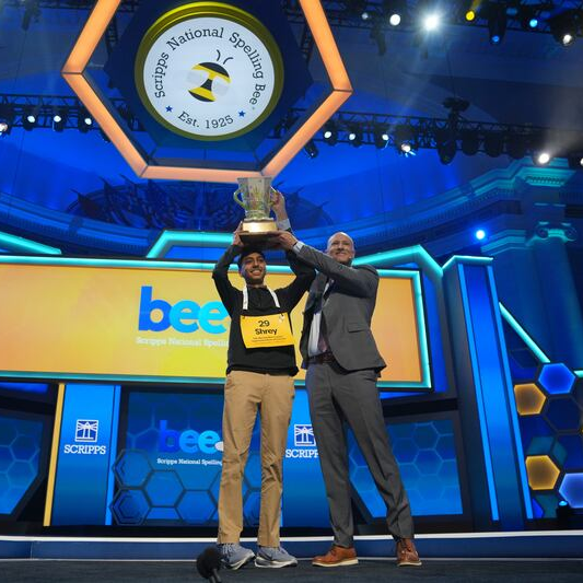Каким образом конкурс Spelling bee связан с пчёлами?